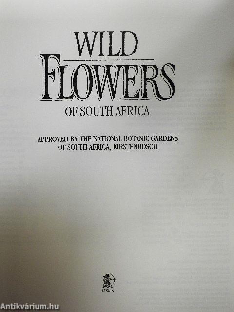 Wild Flowers of South Africa