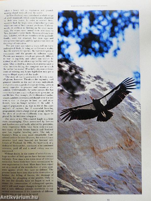 Illustrated Encyclopedia of Birds