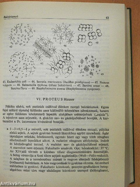 Növényhatározó I.