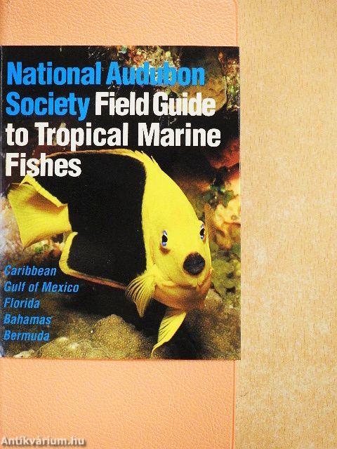 National Audubon Society Field Guide to Tropical Marine Fishes