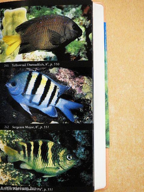 National Audubon Society Field Guide to Tropical Marine Fishes