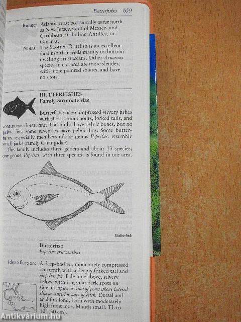 National Audubon Society Field Guide to Tropical Marine Fishes