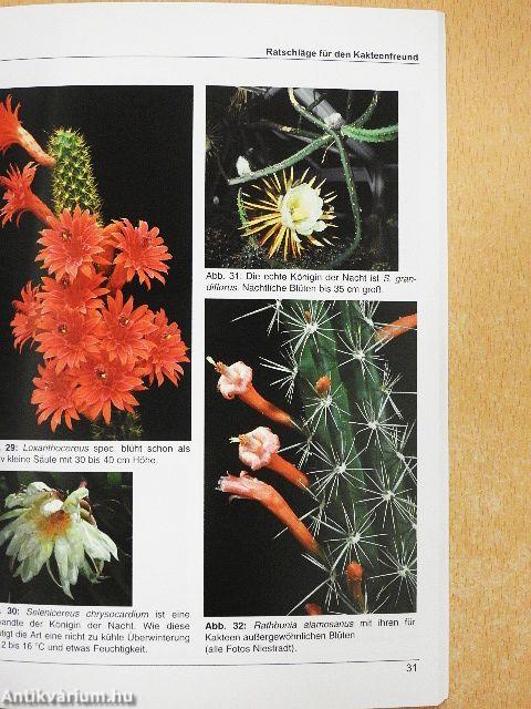 Ratschläge für den Kakteenfreund