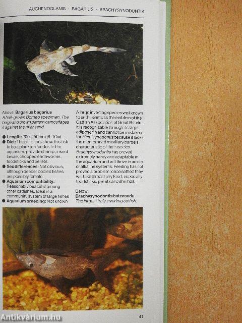 A Fishkeeper's Guide to African & Asian Catfishes