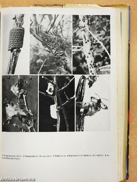 Rat für jeden Gartentag