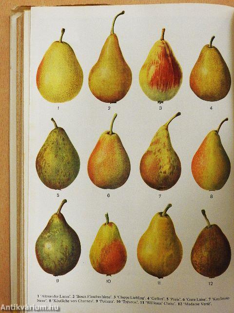 Rat für jeden Gartentag