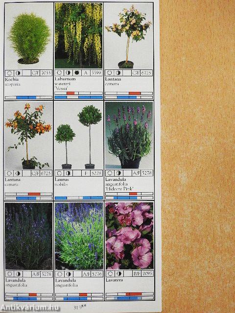 Tuinplanten/Garden Plants/Gartenpflanzen/Plandes d'extérieur/Piante per esterno/Plantas de jardin