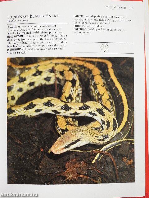 Identifying Snakes