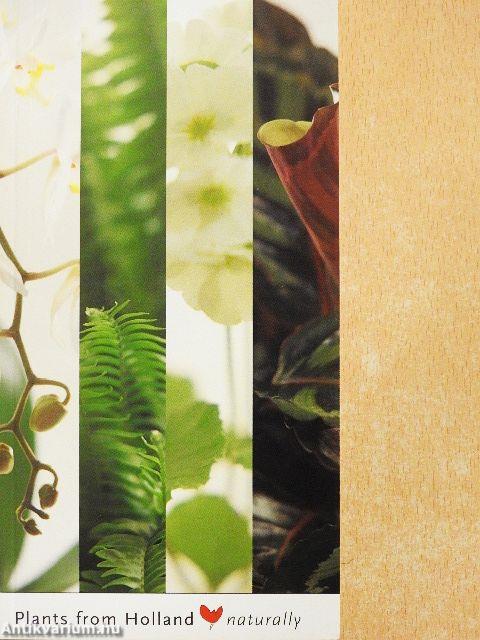 Potplanten/Pot Plants/Topfpflanzen/Plantes de pot/Piante de vaso/Planta en particular 2002/03