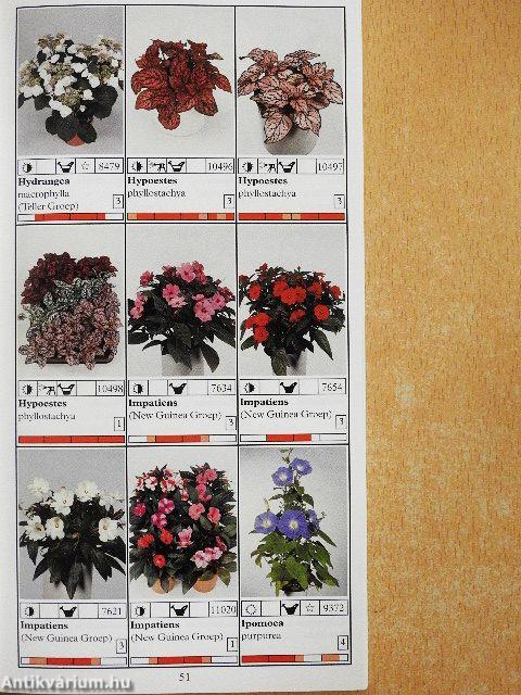 Potplanten/Pot Plants/Topfpflanzen/Plantes de pot/Piante de vaso/Planta en particular 2002/03