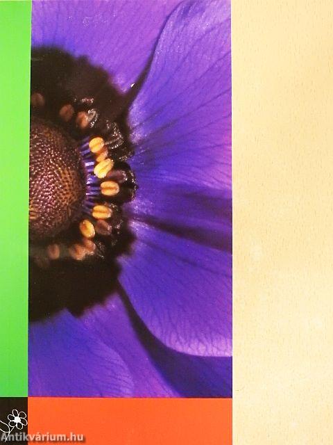 Snijbloemen/Cutflowers/Schnittblumen/Fleurs coupées/Fiori da vaso/Flores cortadas 1994/95