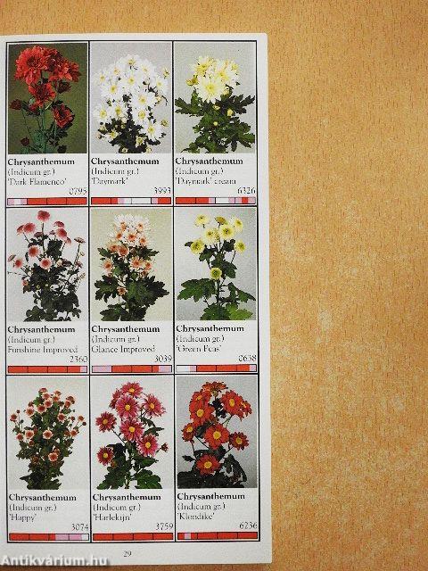 Snijbloemen/Cutflowers/Schnittblumen/Fleurs coupées/Fiori da vaso/Flores cortadas 1994/95