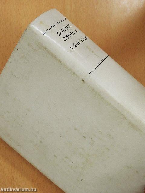 A fiatal Hegel