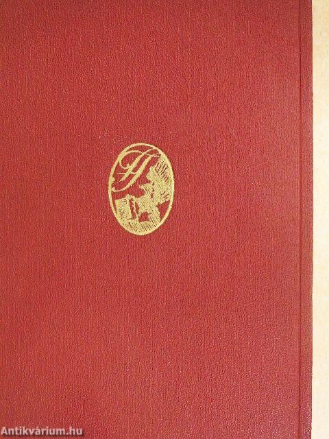 Nőtlen ember otthona