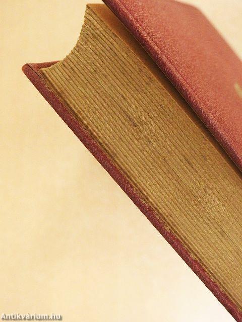 Nőtlen ember otthona