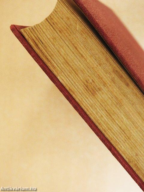 Nőtlen ember otthona