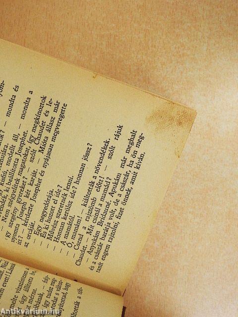 Nőtlen ember otthona