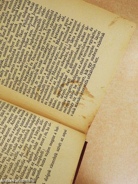 Nőtlen ember otthona