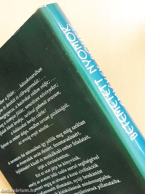 Betemetett nyomok, emlékek rönkje