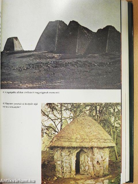 Betemetett nyomok, emlékek rönkje