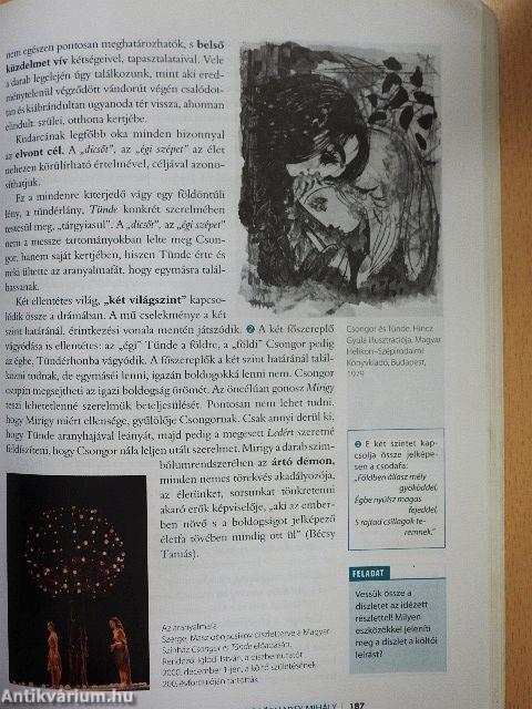 Színes irodalom 10.