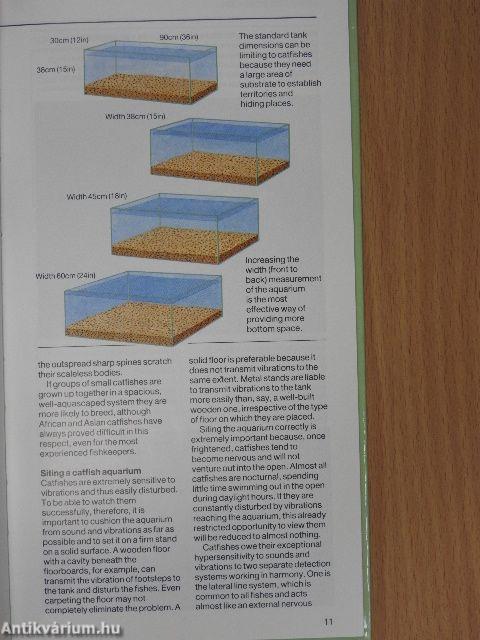 A Fishkeeper's Guide to African & Asian Catfishes