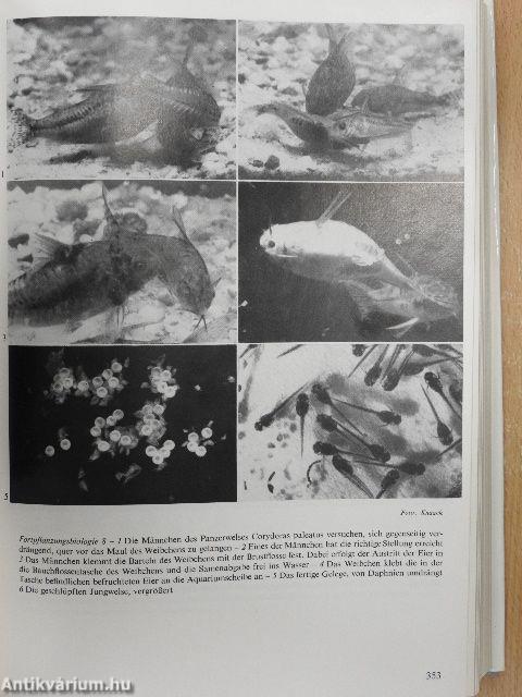 Das große Lexikon der Aquaristik