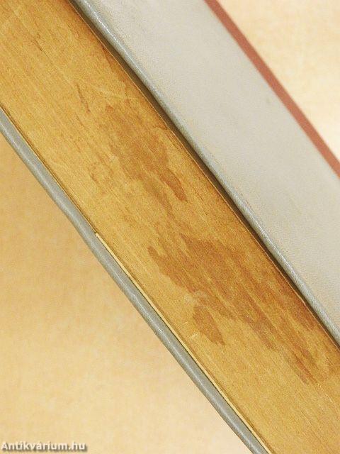 100 híres regény I.