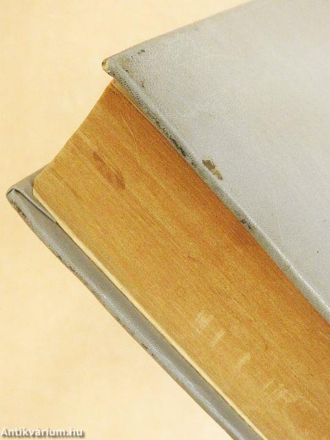 100 híres regény I.