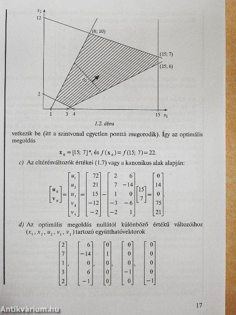 A gazdasági optimalizálás módszerei II.