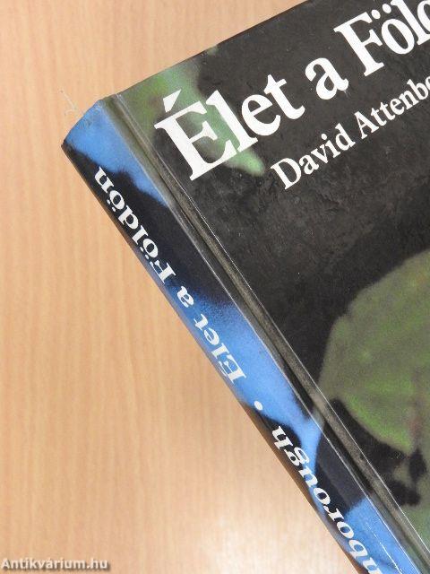 Élet a Földön