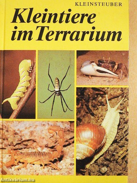 Kleintiere im Terrarium