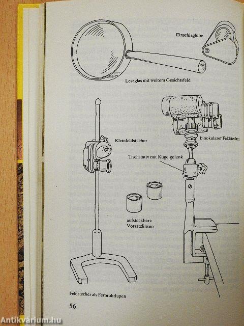 Kleintiere im Terrarium
