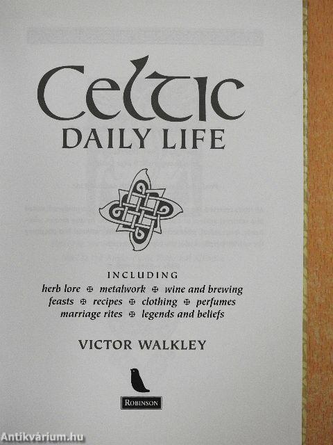 Celtic Daily Life