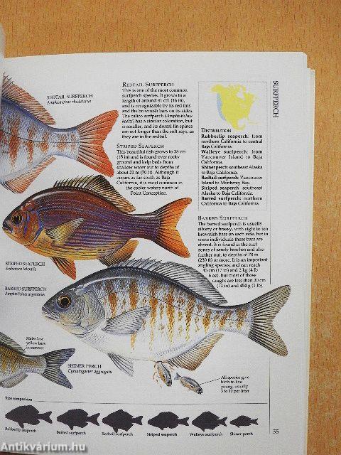 The Angler's Guide to Fish