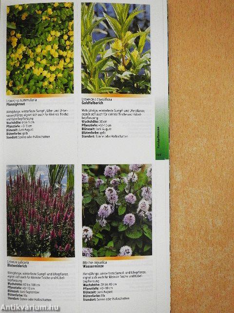 Das Wasserpflanzenbuch