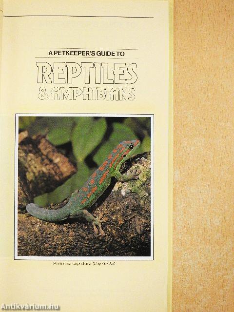 A Petkeeper's Guide to Reptiles & Amphibians