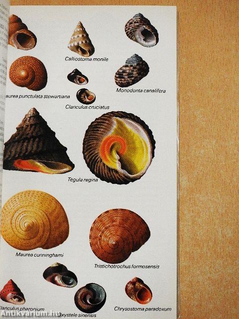 The Hamlyn Guide to Shells of the World