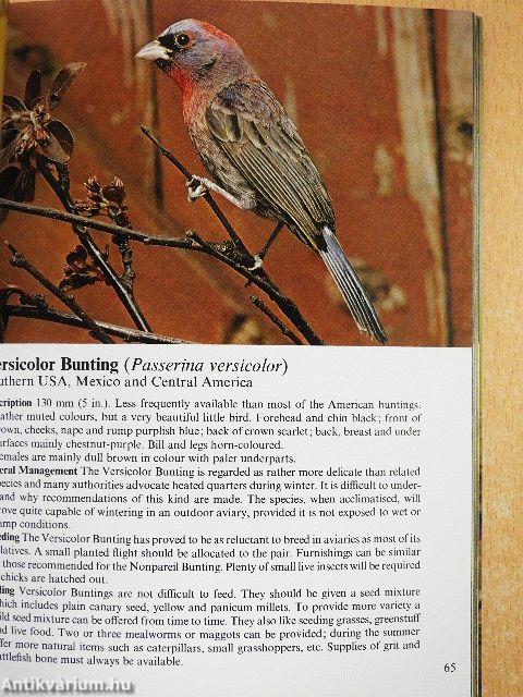 Aviary Birds in Colour