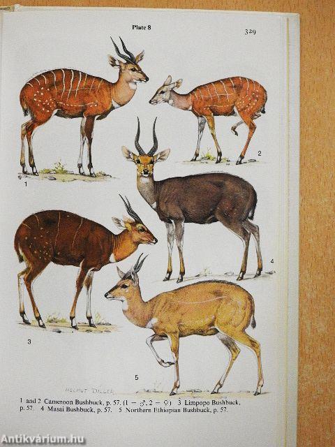 A Field Guide to the Mammals of Africa