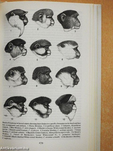 A Field Guide to the Mammals of Africa