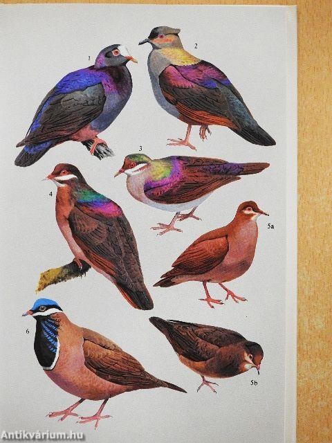 Birds of the West Indies