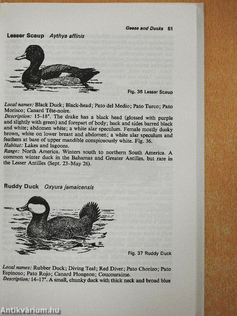 Birds of the West Indies