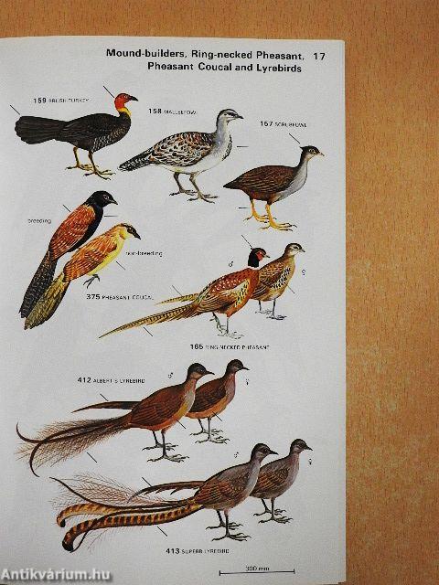 A Field Guide to the Birds of Australia