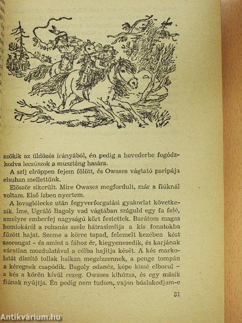 A Sós sziklák völgye