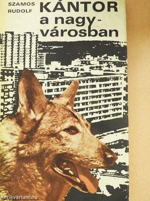 Kántor a nagyvárosban