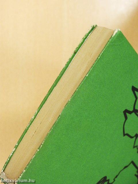 Német voltam én is...