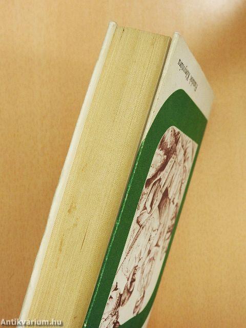 Akiért a harang szól