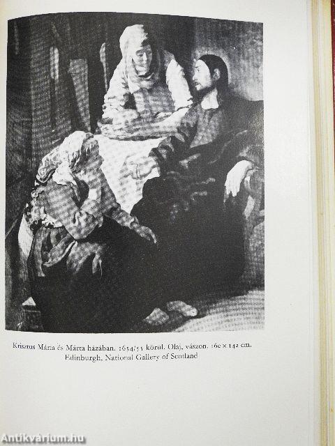 Vermeer van Delft életregénye