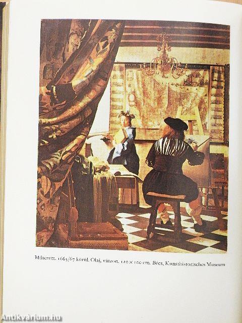 Vermeer van Delft életregénye